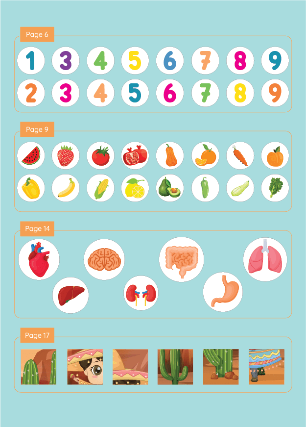 Augmented Reality Activity Sticker for Human Body Book - Planetary Book Series - Brainsteam Education