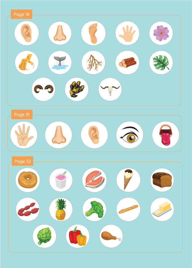 Augmented Reality Activity Sticker for Human Body Book - Planetary Book Series - Brainsteam Education