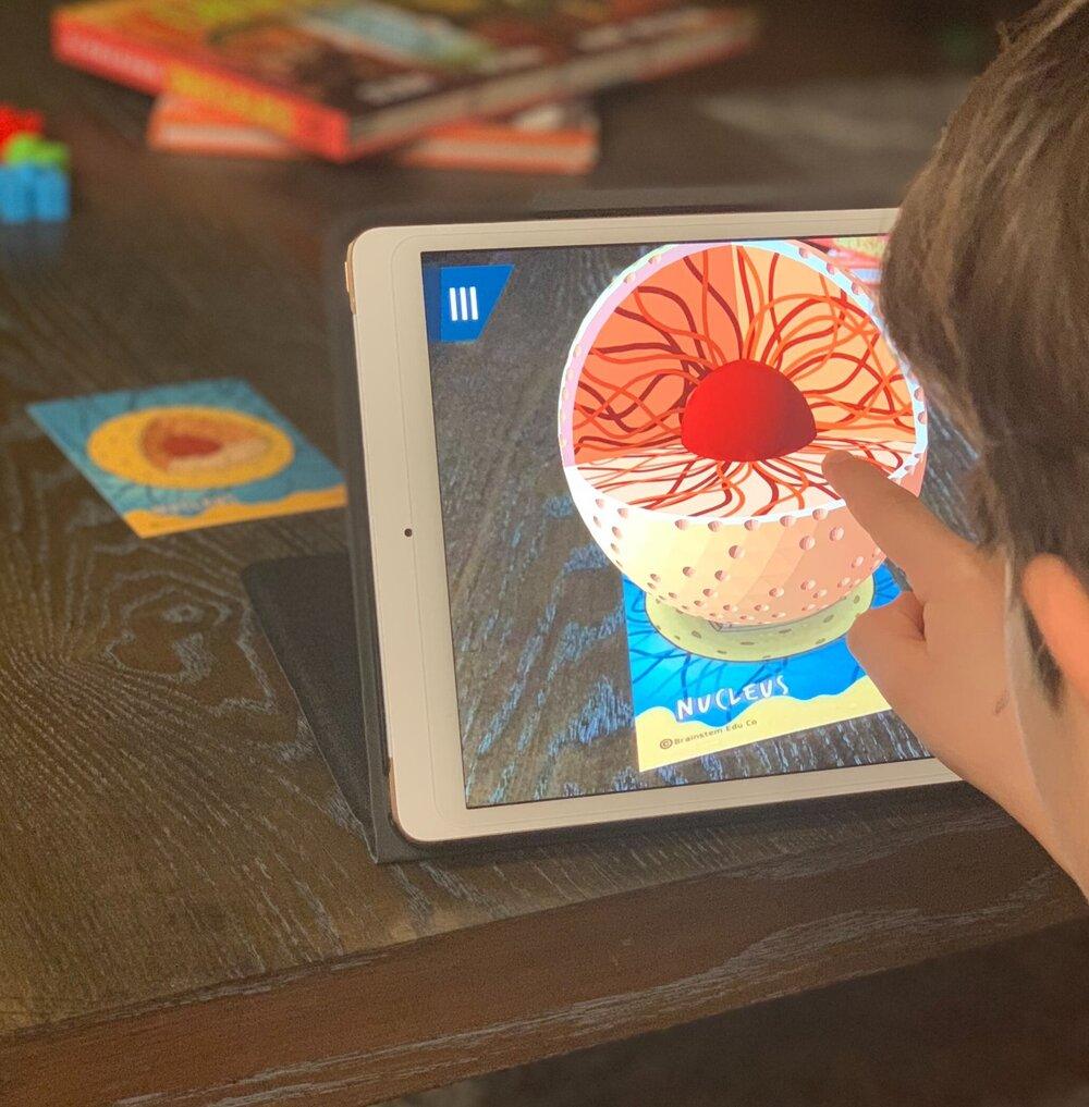 Cell Flash Cards - 4D Augmented Reality Flash Cards - Bold Pack - Brainsteam Education