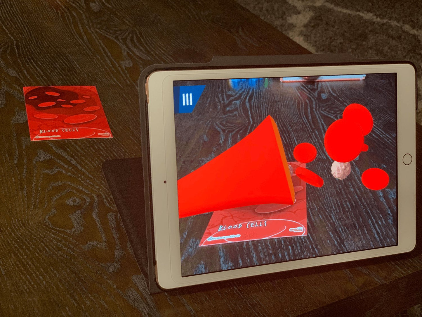 Cell Flash Cards - 4D Augmented Reality Flash Cards - Bold Pack - Brainsteam Education