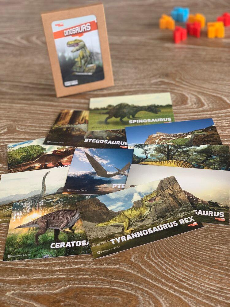 Dinosaur Flash Cards - 4D Augmented Reality Flash Cards - Bold Pack - Brainsteam Education