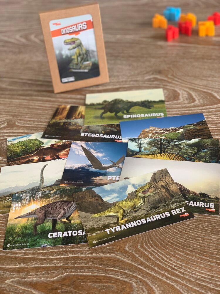 Dinosaur Flash Cards - 4D Augmented Reality Flash Cards - Bold Pack - Brainsteam Education