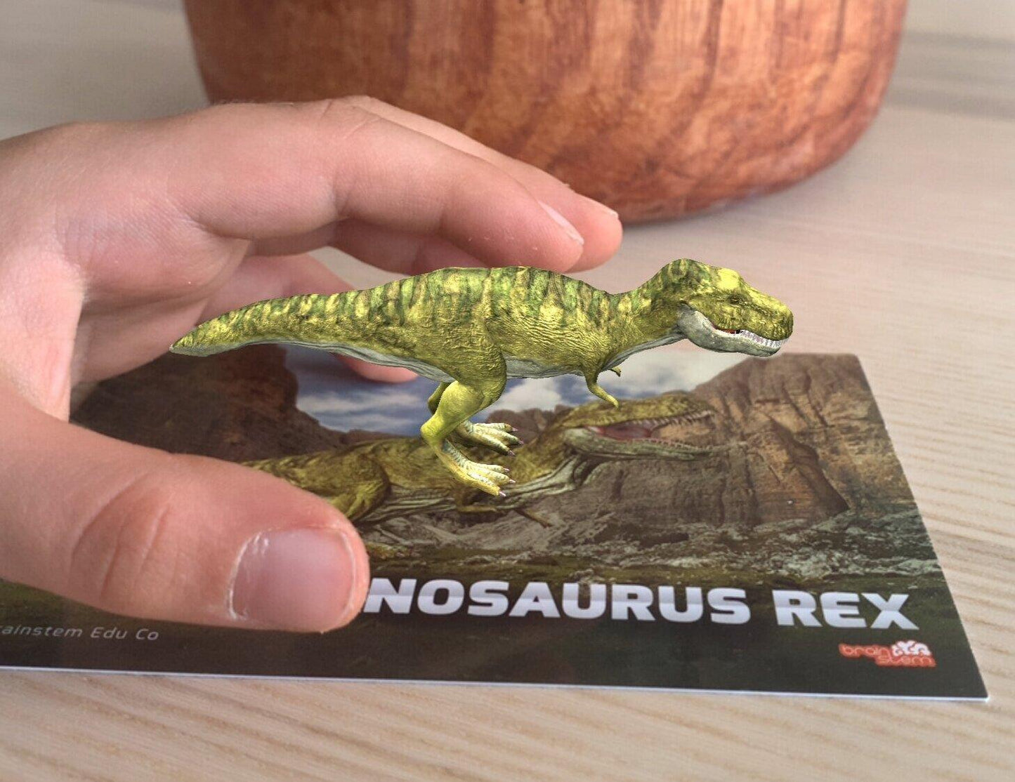 Dinosaur Flash Cards - 4D Augmented Reality Flash Cards - Bold Pack - Brainsteam Education