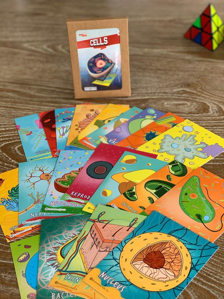 Jumbo Classroom 16 Pack - 4 packs each of our Dinosaurs, Cells, Planets and Landmarks 4D Augmented Reality Flash Cards - Brainsteam Education