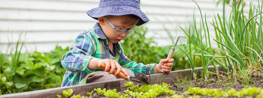 Beyond the Screen: Incorporating STEM Learning into Outdoor Activities - Brainsteam Education