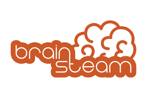 Brainsteam Education