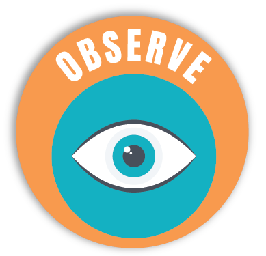 observe  icon brainsteam